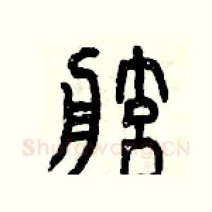舷