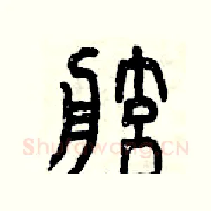 舷