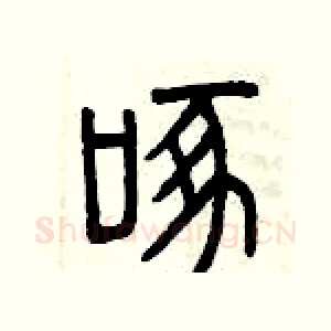 啄