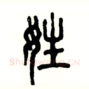 姓