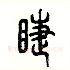 睫