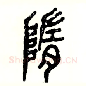 隋