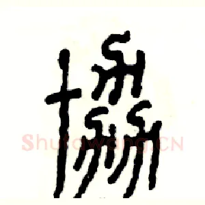 协