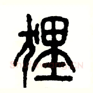 狸