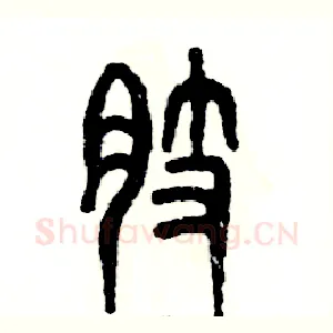 肢