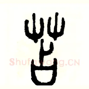 苫