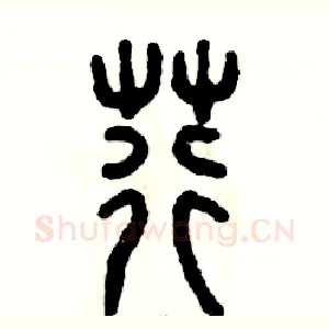 荇