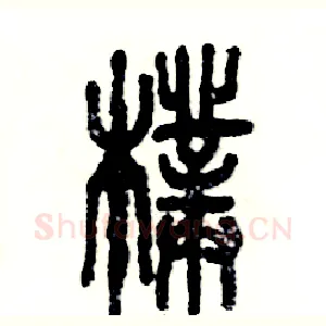 朴