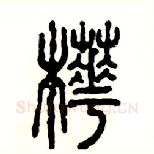 桦