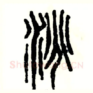 洮