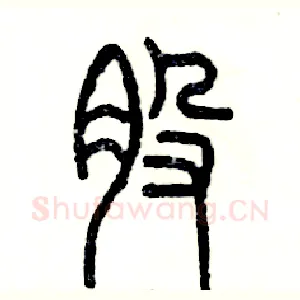 股