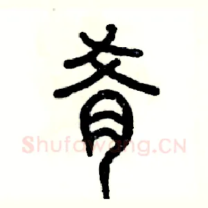 肴