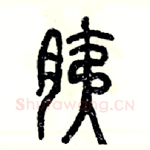 胰