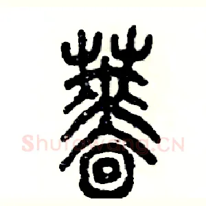 蔷