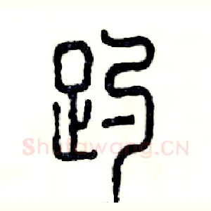 趵