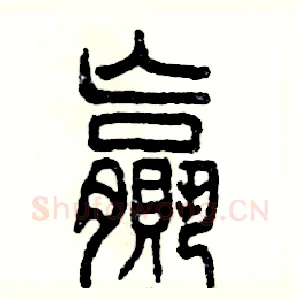 赢