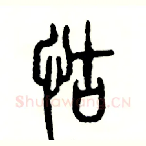 怙