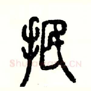 抿