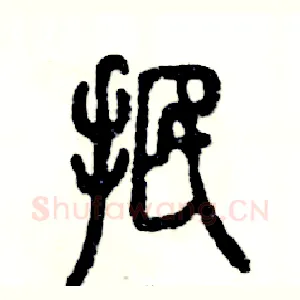 抿