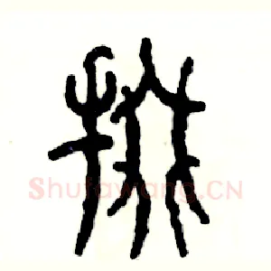 掇