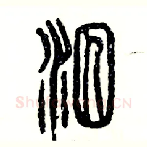泅