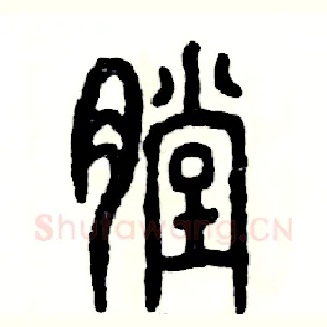 膛