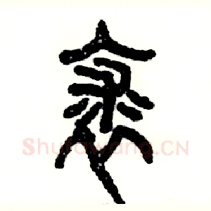 裘