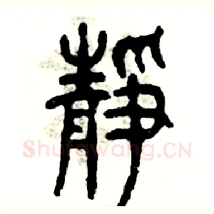 静