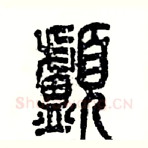 颅