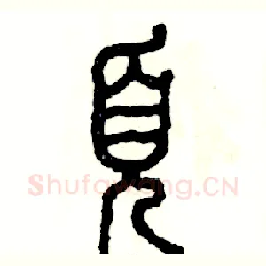 页