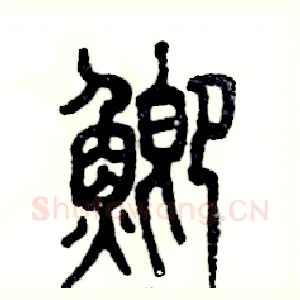 鲫