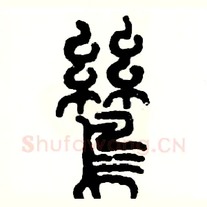 鸶