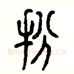 扮