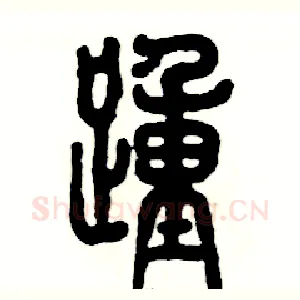 踵