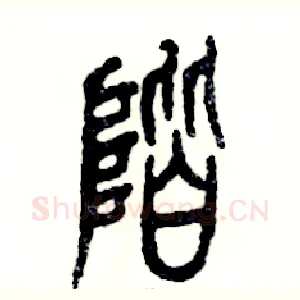 阶