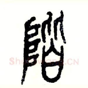 阶