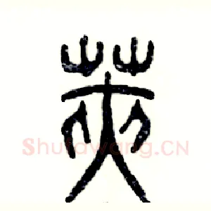 荚