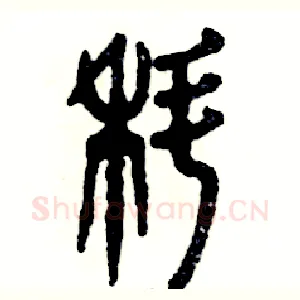 蝌