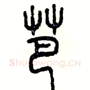 芭