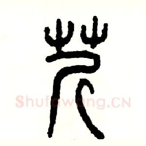 芹