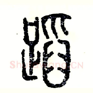 蹈
