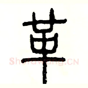 革