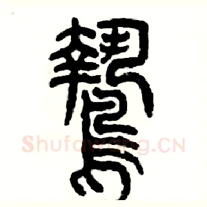 鸷