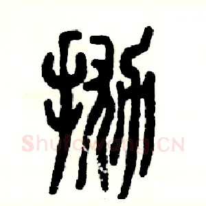 抛