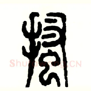 搔