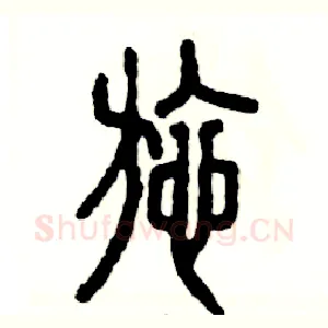 施