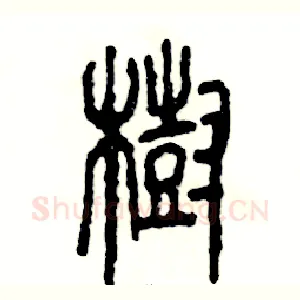 樹