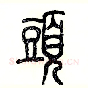 頭