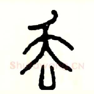 丢
