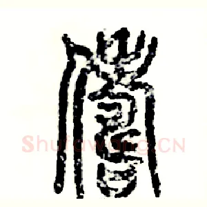 俦